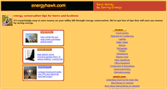 Desktop Screenshot of energyhawk.com